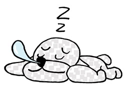 バロン_睡眠